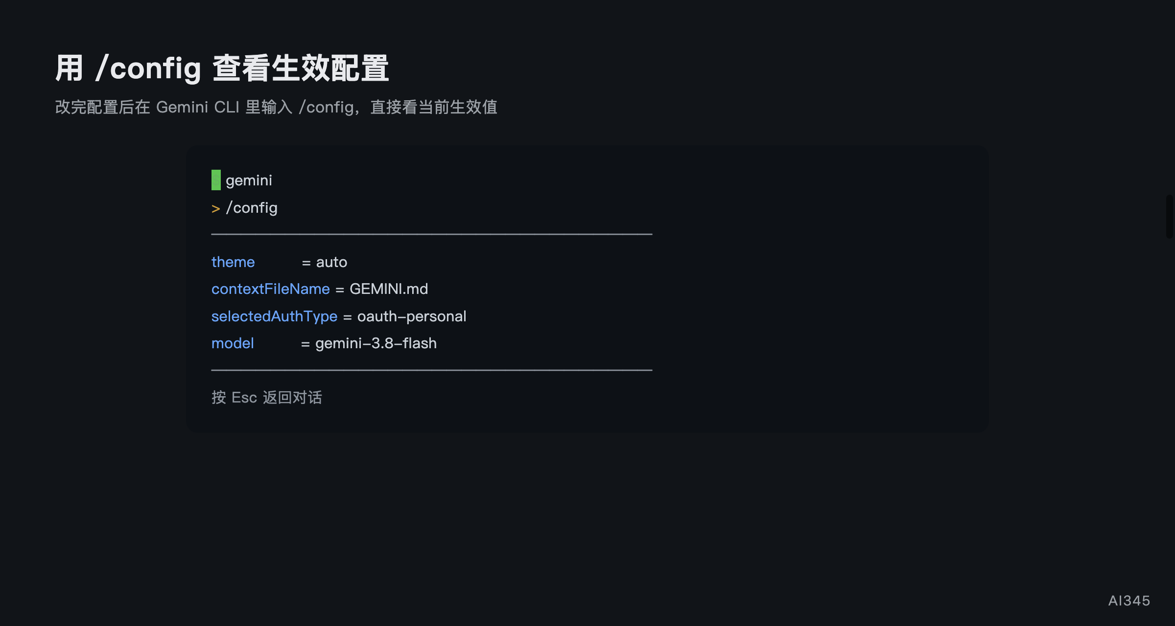 Gemini CLI 终端内查看生效配置