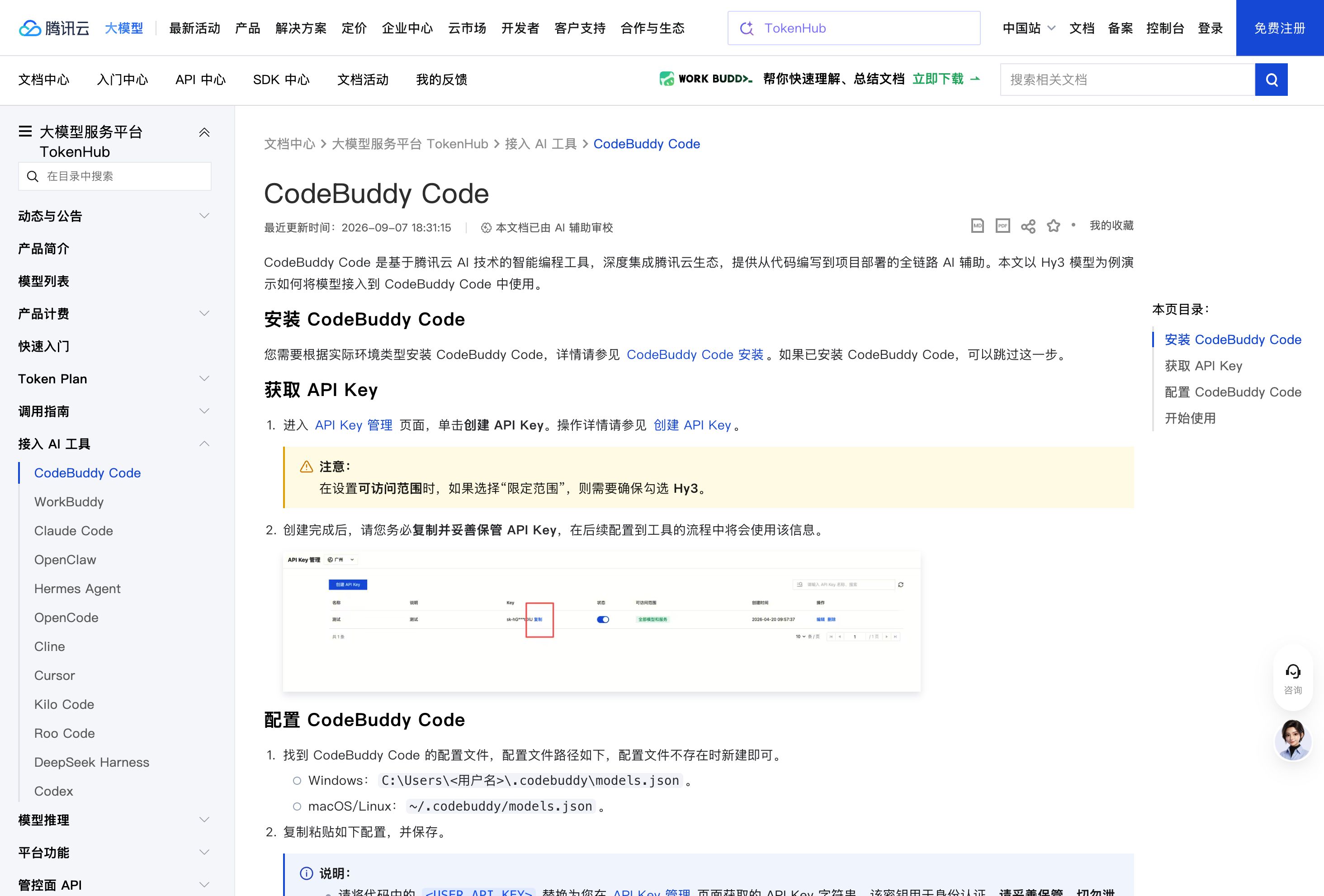 CodeBuddy API Key 配置：4 种方式与排查封面图