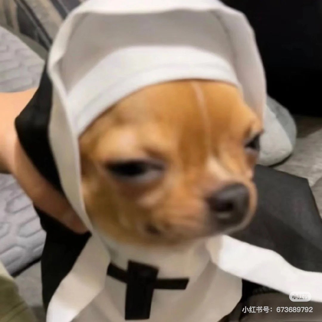 善良狗狗头