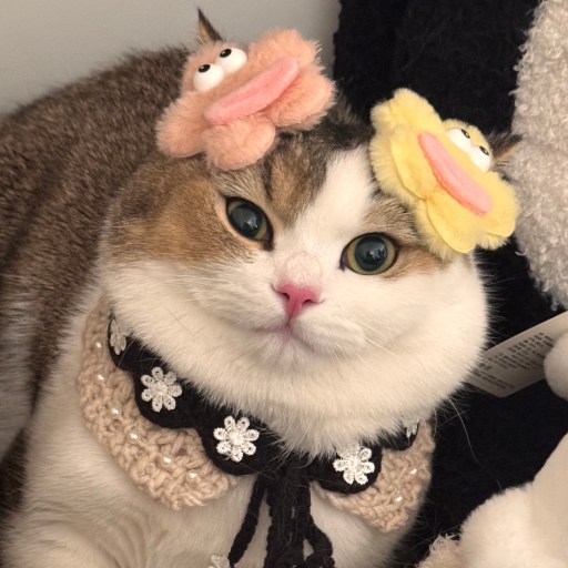 minimao
