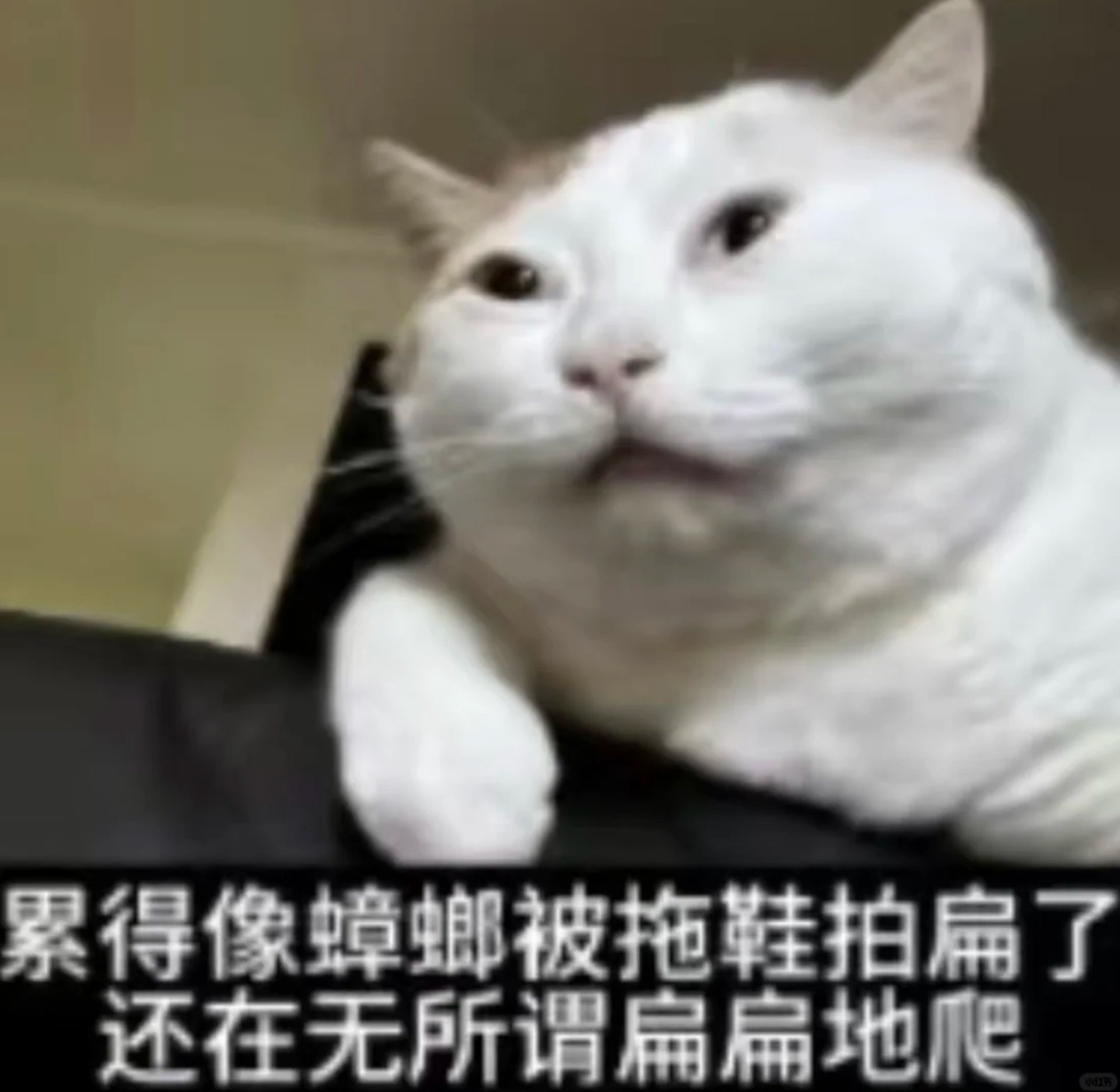 帖子配图 1